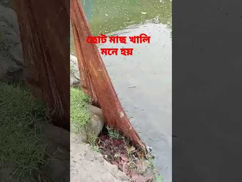 Short Jal Mara Video