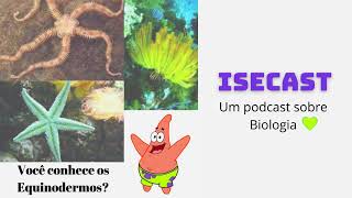 Quem são os Equinodermos - ISECAST