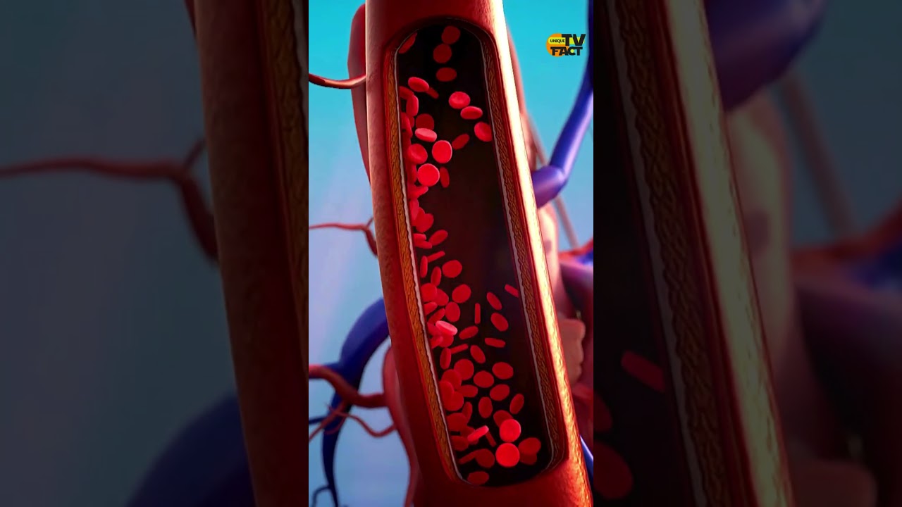 Why blood is red? The Science Explained!