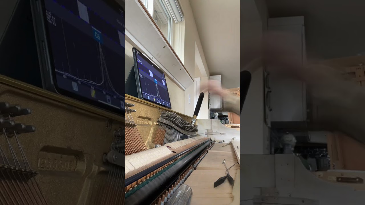 Standard Tuning with Pitch Raise #pianos #piano #pianomusic