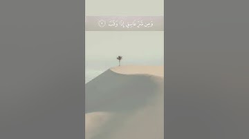 سورة الفلق | وديع اليمني | تلاوة هادى | تلاوة خاشعة | تلاوة جميلة