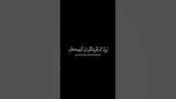 سورة الشعراء #القرآن_الكريم #quran #ياسر_الدوسري #تلاوات #اسلام #تلاوة #الدعاء #سورة #ايات #قرآن #يس