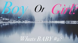 Revealing baby 2 gender | single mom vlogs