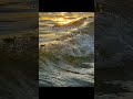 goPure