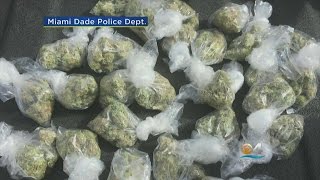 12 Arrested In Heroin Crackdown, Dubbed 'Operation: Dragon Slayer II'