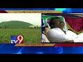 YSRCP leader Dama Subbarao booked for Land grabbing cases