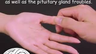 Accupresure Point For Overall Health