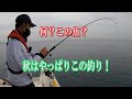 【好釣果】幻の凄い魚も！絶対逃がさないで～！