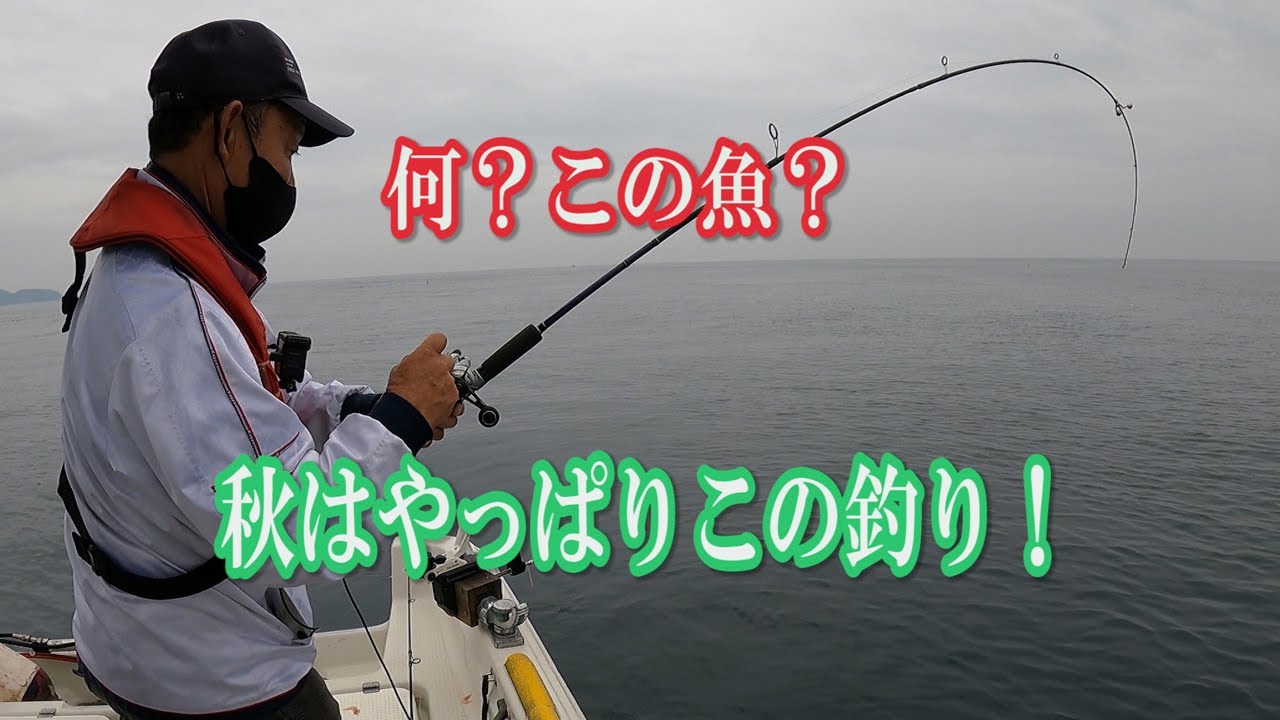 【好釣果】幻の凄い魚も！絶対逃がさないで～！