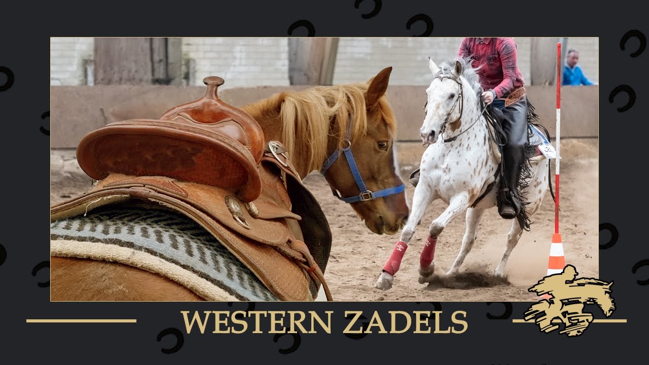 [Hoe?] leg je een westernzadel op een paardenrug?