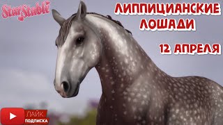 Липпицианские лошади в STAR STABLE | LIPIZZANER HORSE