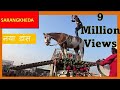 पहली बार घोड़े का पिकअप डांस ढोल नाच : India's Talent Amazing Indian Marwari Horse Dance  Pick up Van