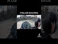 A day with Some Birds