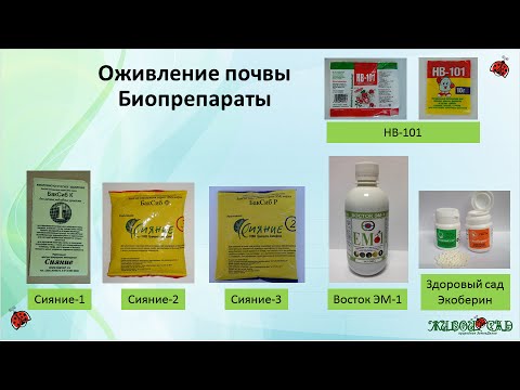 Почему именно восток?