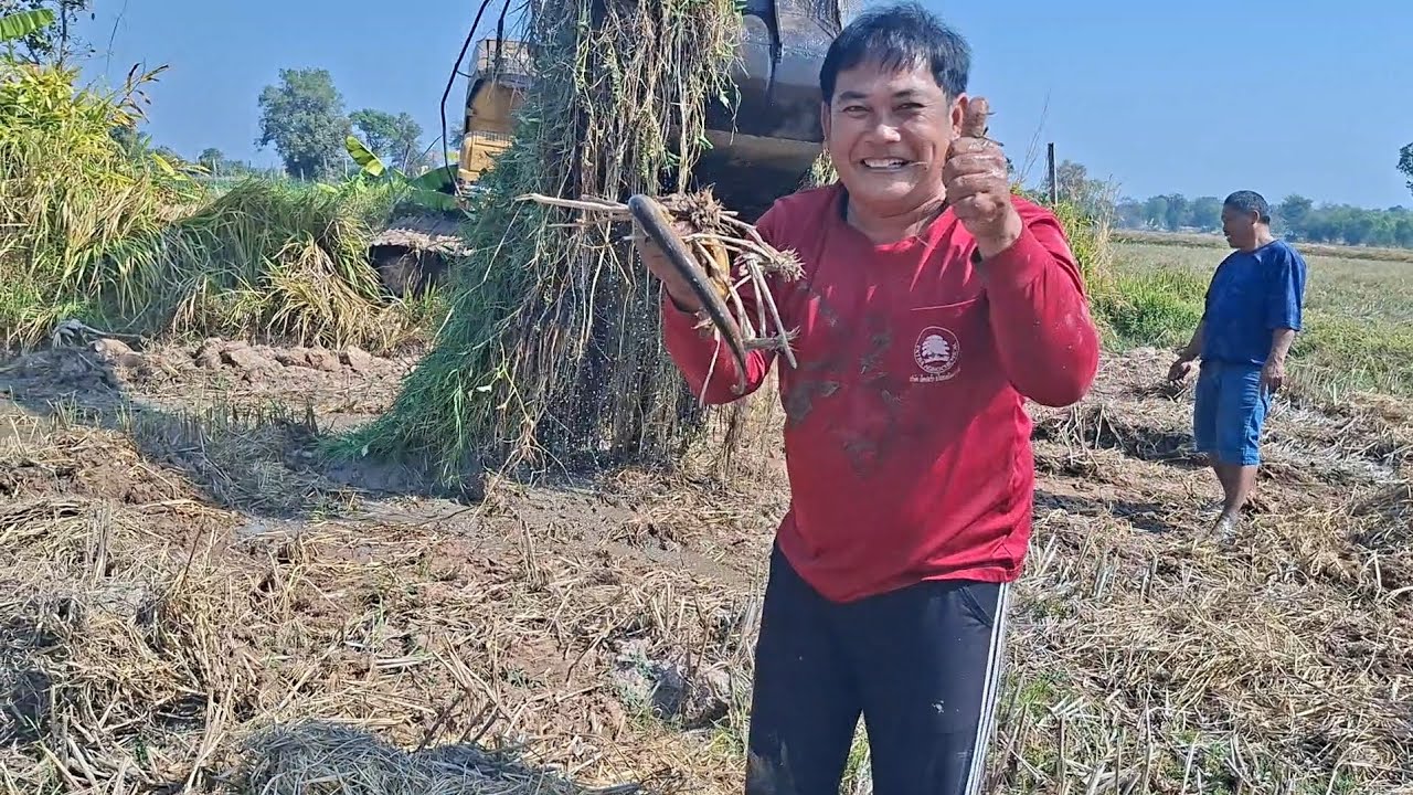 ป้าดสุดยอดปลาไหลมีแต่ตัวใหญ่ๆทำความสะอาดสระ หมานสุดๆ