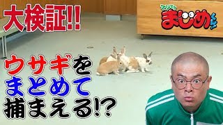 【あばれる君の実写版マジで!!まじめくん！】マジ語まじめにやってみた「二兎追う者は一兎も得ず」