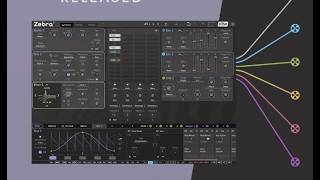 testing Zebra 3