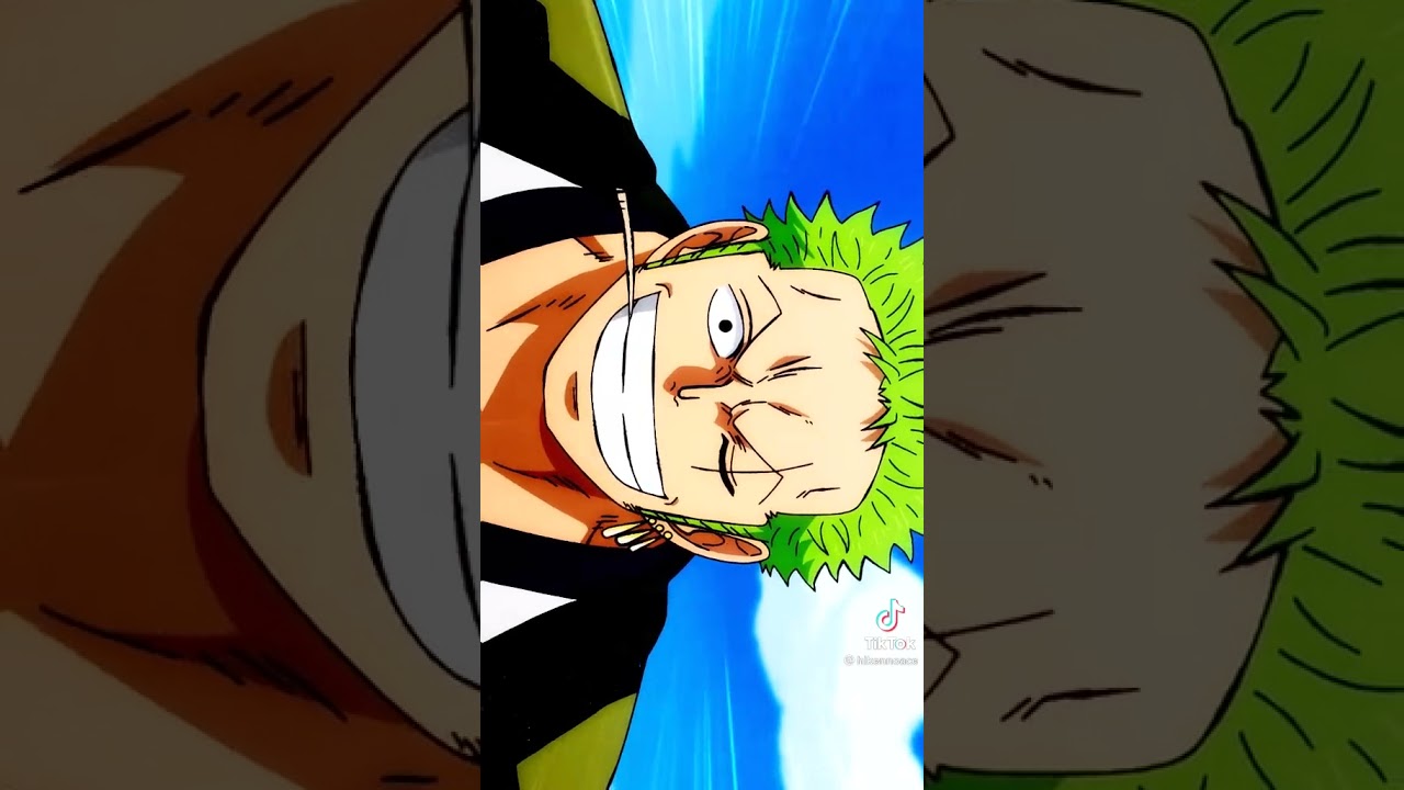 best friend Zoro & Luffy YouTube