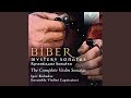 The Joyful Mysteries II Mary 39 S Visit To Elizabeth In A Major Scordatura A E 39 A 39 E 39 39 Sonata mp3