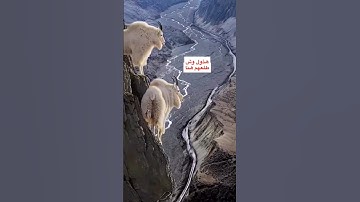 سبحان الله الخالق  # القارئ مازن الواقدي