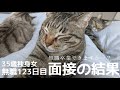 【35歳独身女】無職123日目。面接の結果。