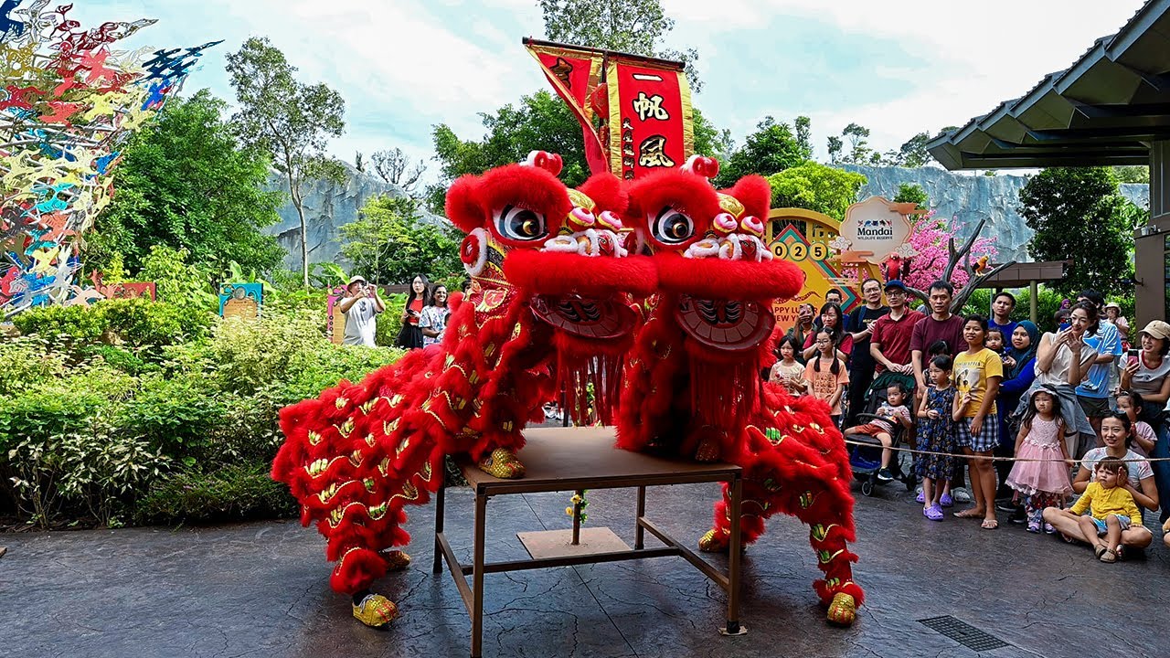 Lion Dance at Singapore Bird Paradise
