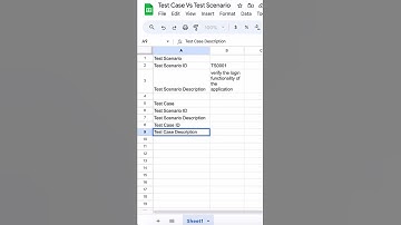 Test Case vs Test Scenario