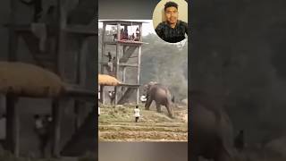 elephant attack 🐘  #elephant #tutorial #wildlife