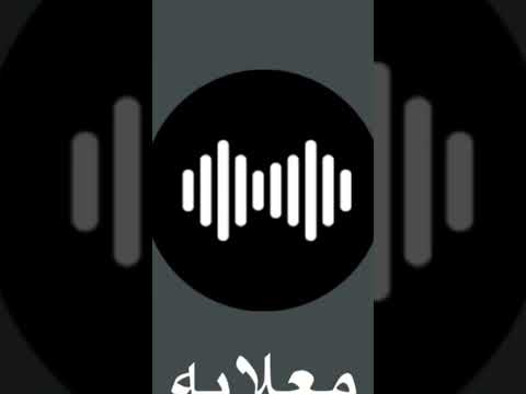 معلايه الفيل 