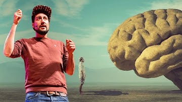 Lecture | Do You See What I See? Living in a Visual Environment, Simulated by Your Brain | Gayet