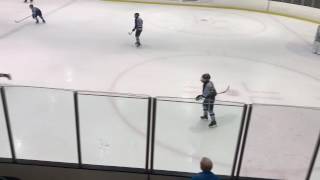 NYC Skyliners vs Princeton Tigers