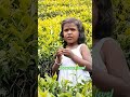 Baby at ooty #love #song #music #yt #dance #tourism #baby #shorts