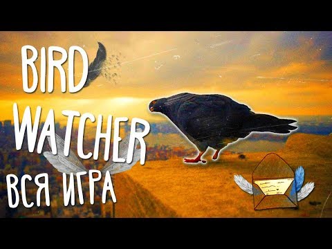 ❀ Прохождение Bird Watcher ❀ - Голубиная мафия (FullGame)
