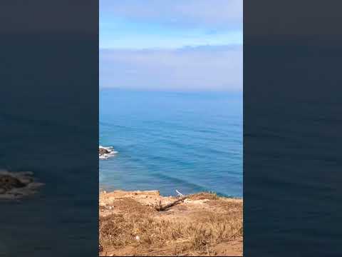 تحية لكل القلوب الطيبه