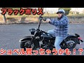 憧れのバイクを買う？