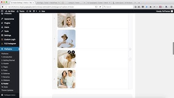 Flothemes :: Trento - Footer Settings