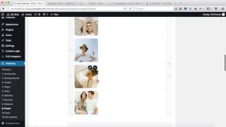 Flothemes :: Trento - Footer Settings