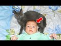 CAT Refuses To Let Baby Sleep Alone - When The Parents Find Out Why, They Call The Police!