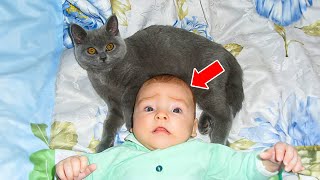 CAT Refuses To Let Baby Sleep Alone  When The Parents Find Out Why, They Call The Police!