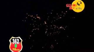 CGF-362.wmv