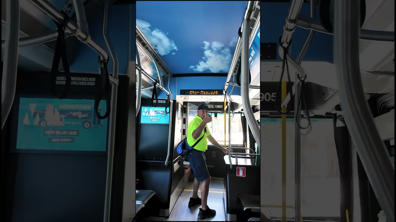 Hop on the Blue Line Dowtown today!