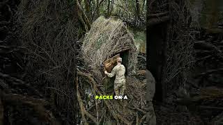 🌿🛖 #SwampBunker #UndergroundShelter #SurvivalBuild #HiddenBase #OffGridLiving
