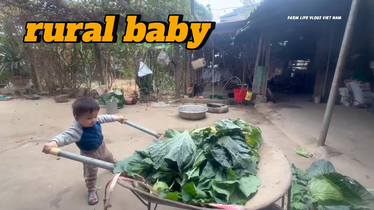 Rural Life with a Two-Year-Old Baby – Simple and Peaceful Childhood Moments