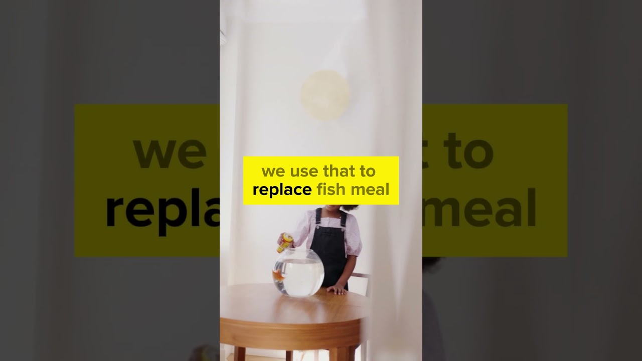 Breaking Boundaries UConn Foundry’s Visionary Startups in Focus 