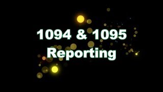 1094 1095 Reporting Webinar February 2016