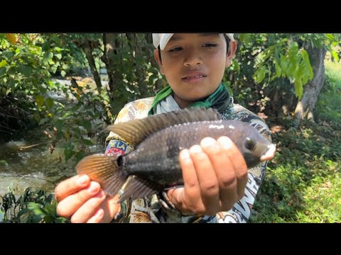 Muchachos pesca y