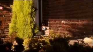 Klinker - Der Film - Röben