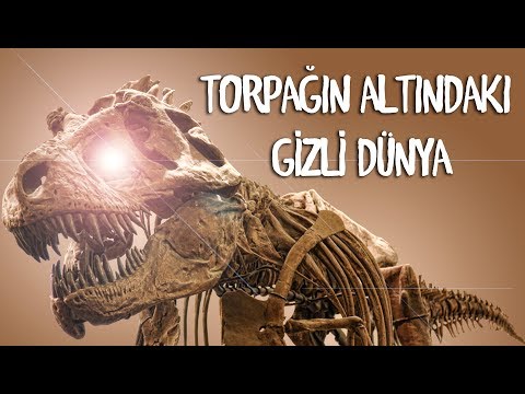 Video: Arxeoloji Ekspedisiyaya Necə Getmək Olar