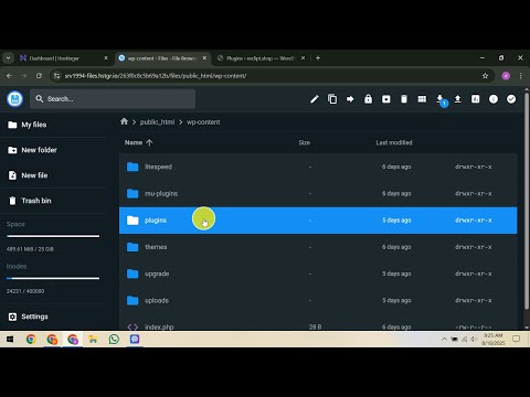 How To Fix Plugin Installation Failed in Hostinger