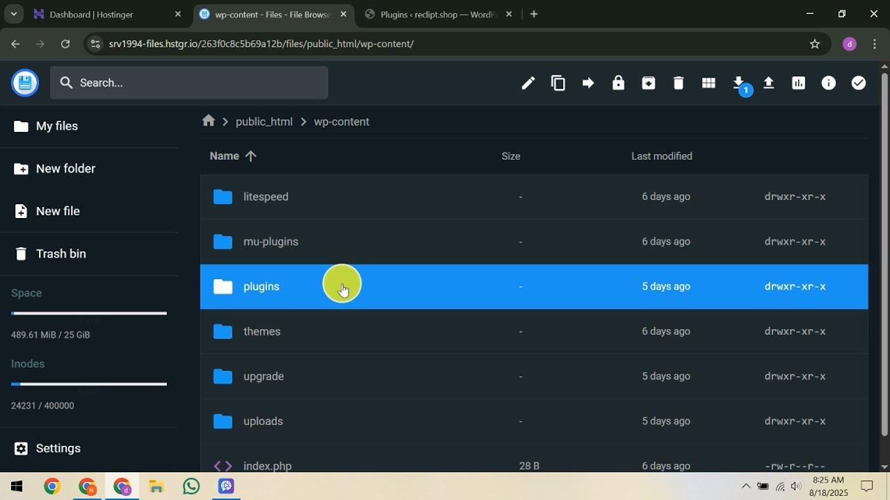 How To Fix Plugin Installation Failed in Hostinger - YouTube